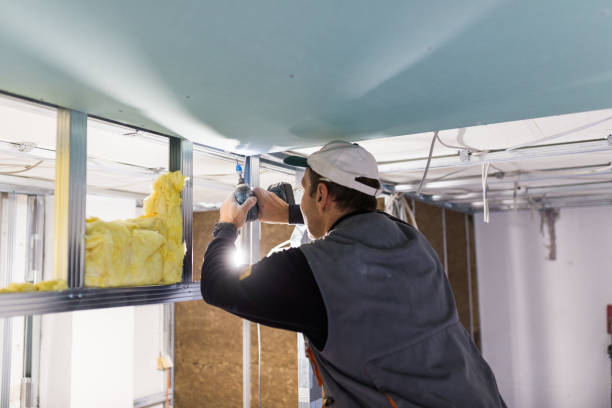 Best Commercial Insulation in Mound, MN