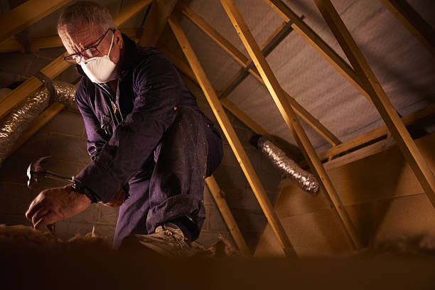 Best Insulation Maintenance and Repair in Mound, MN